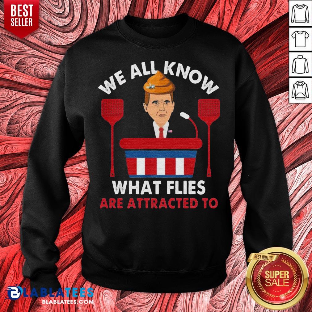 We All Know What Flies Are Attracted To Funny Pence 2020 VP Debate Shirt - Image 2