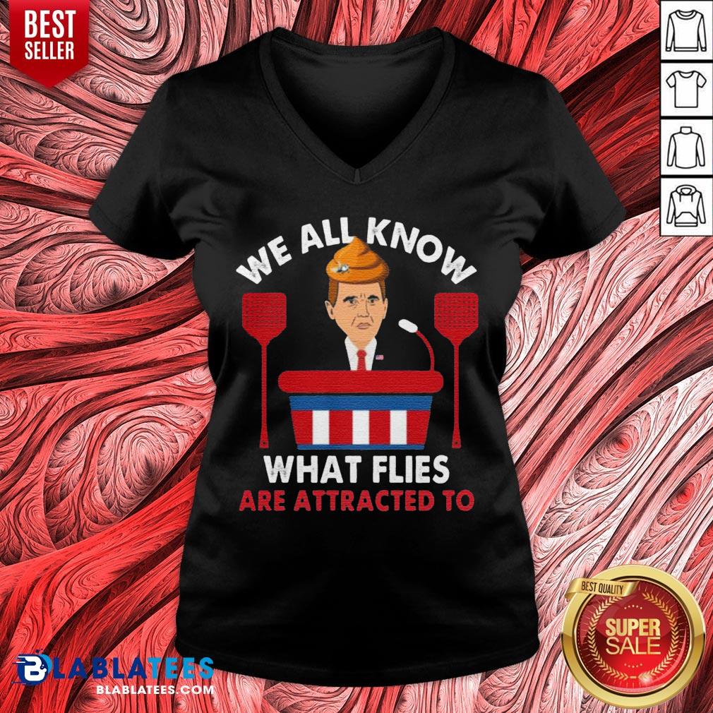 We All Know What Flies Are Attracted To Funny Pence 2020 VP Debate Shirt - Image 4